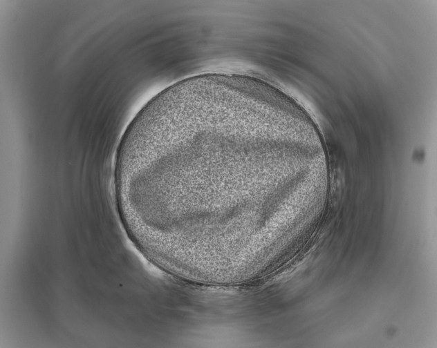 X0000097291103200803071726