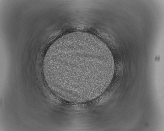 X0000097291105200803071726