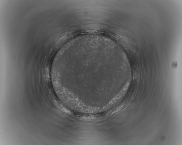 X0000097291106200803071726