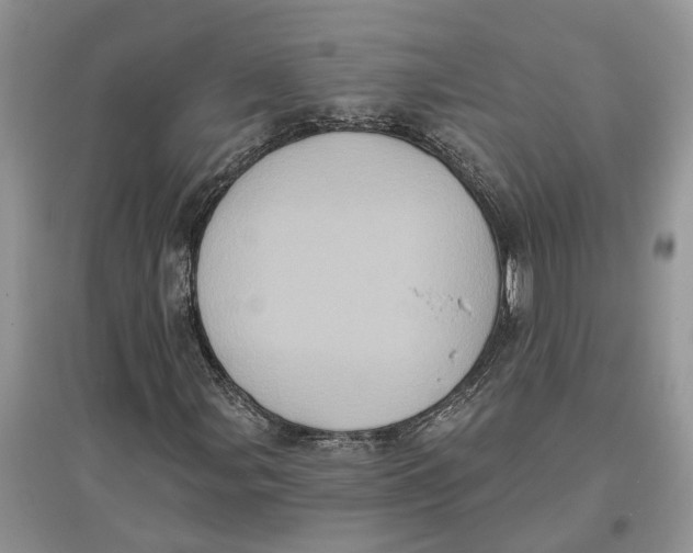 X0000097291107200803071726