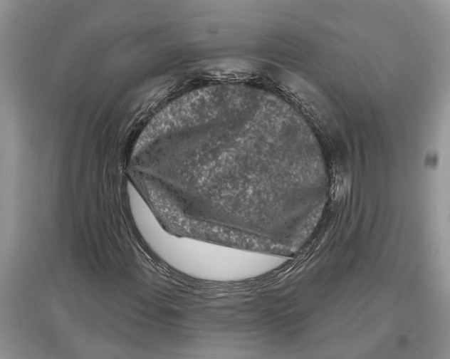 X0000097291108200803071726