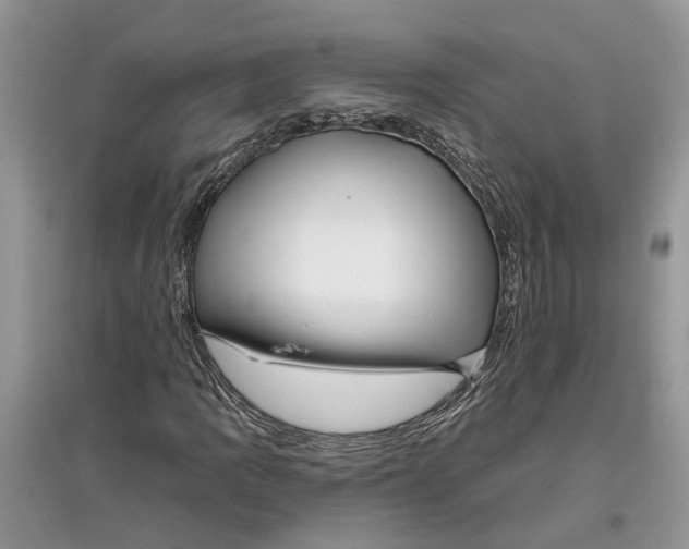 X0000097291109200803071726