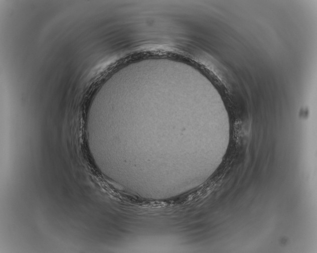 X0000097291111200803071726