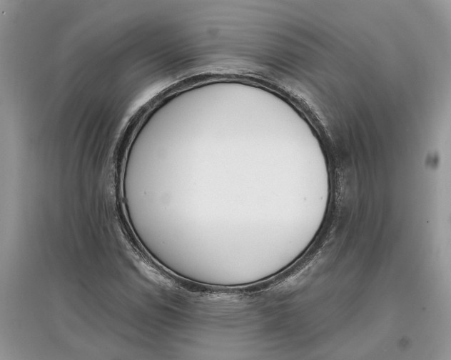 X0000097291114200803071726