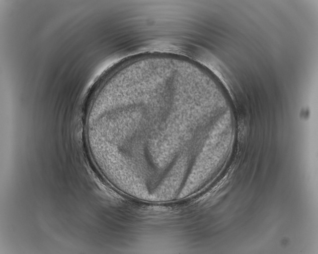 X0000097291115200803071726