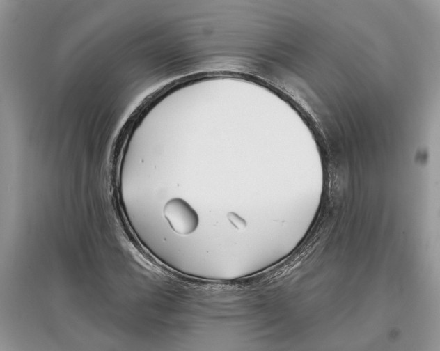 X0000097291116200803071726
