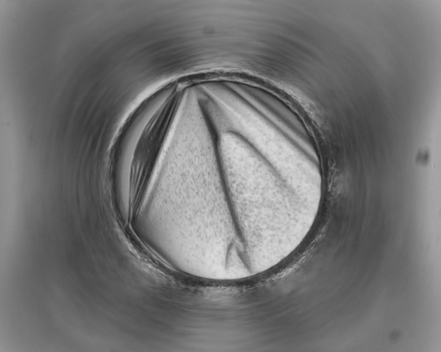 X0000097291118200803071726