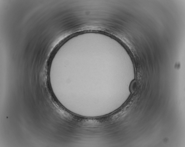 X0000097291119200803071726