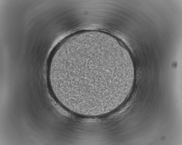 X0000097291122200803071726