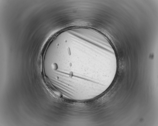 X0000097291123200803071726