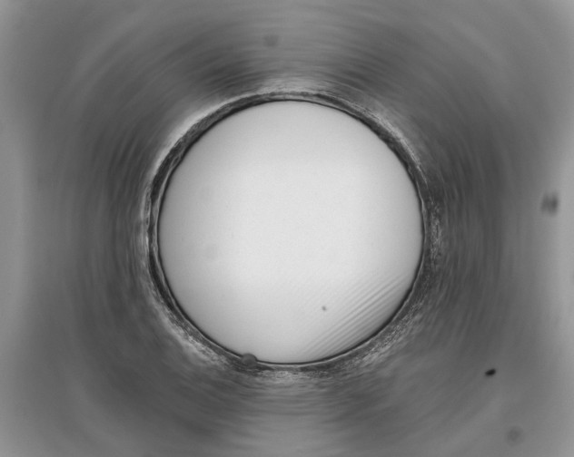 X0000097291124200803071726