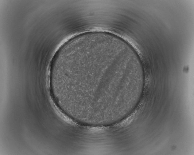 X0000097291126200803071726