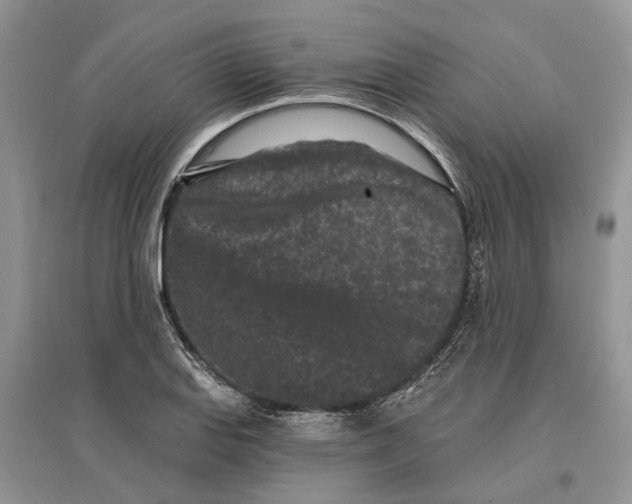 X0000097291127200803071726