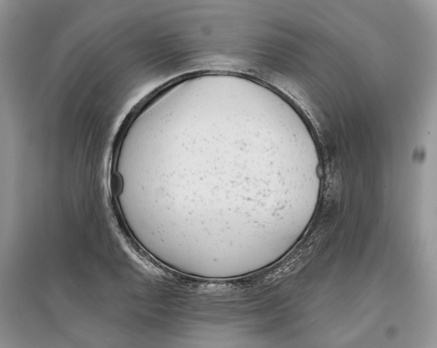 X0000097291128200803071726