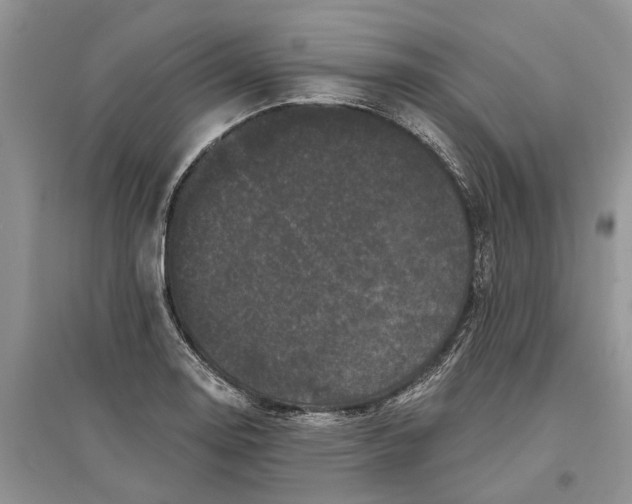 X0000097291130200803071726