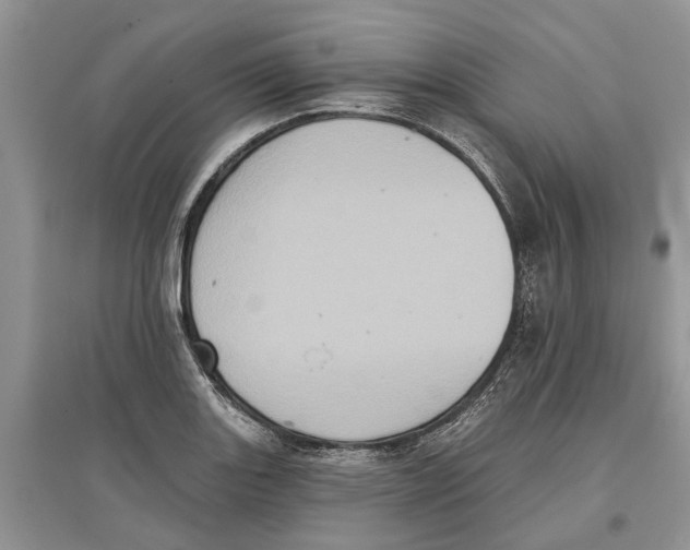 X0000097291131200803071726