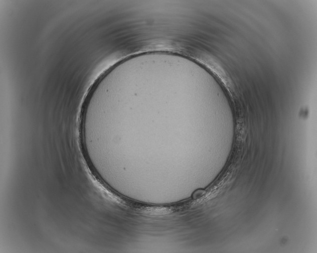 X0000097291135200803071726