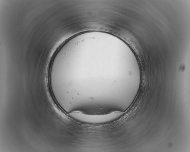 X0000097291136200803071726