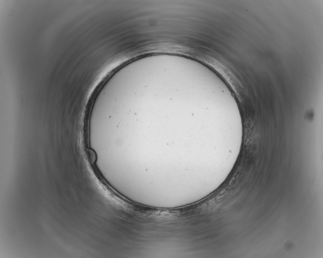 X0000097291139200803071726
