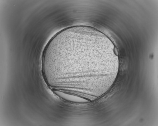 X0000097291140200803071726