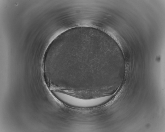X0000097291141200803071726