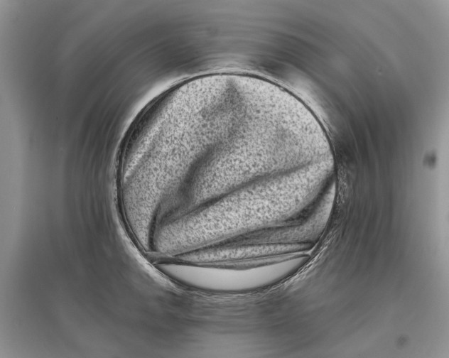 X0000097291142200803071726