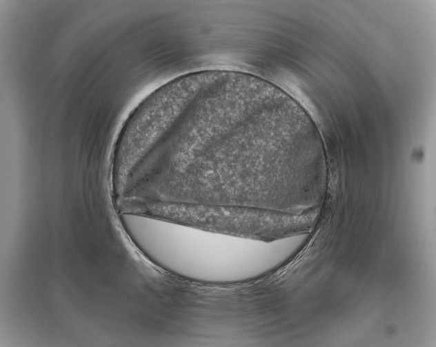 X0000097291144200803071726