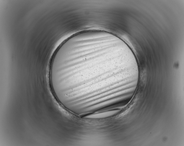X0000097291149200803071726
