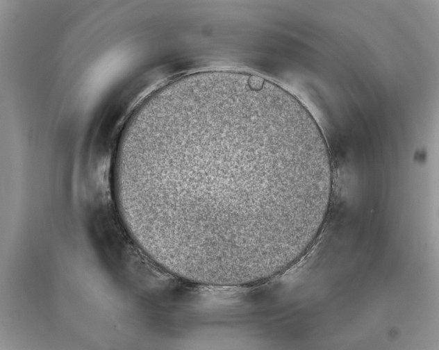 X0000097291150200803071726