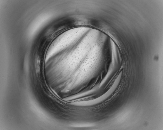 X0000097291151200803071726