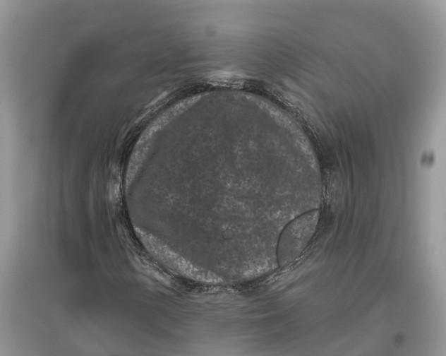 X0000097291154200803071726