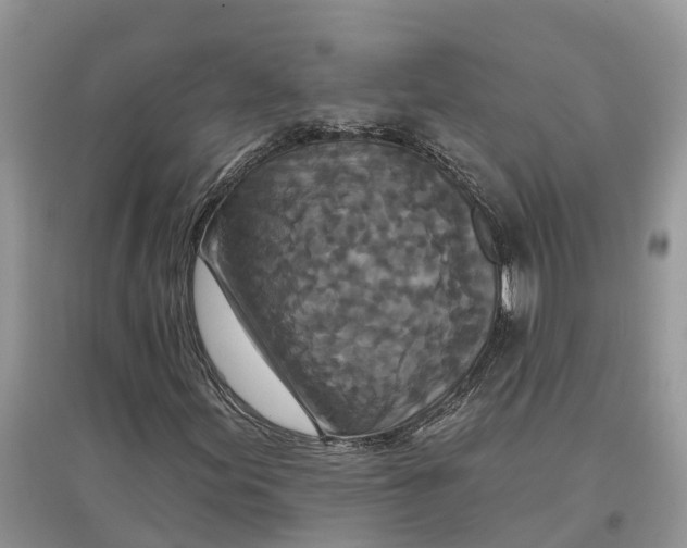 X0000097291155200803071726