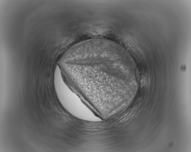 X0000097291156200803071726