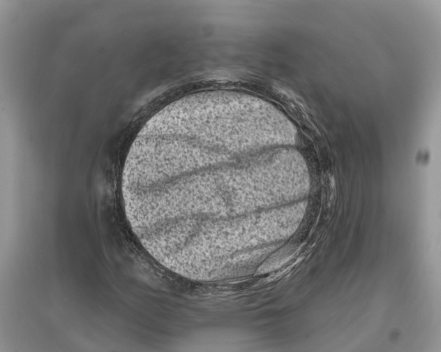 X0000097291158200803071726