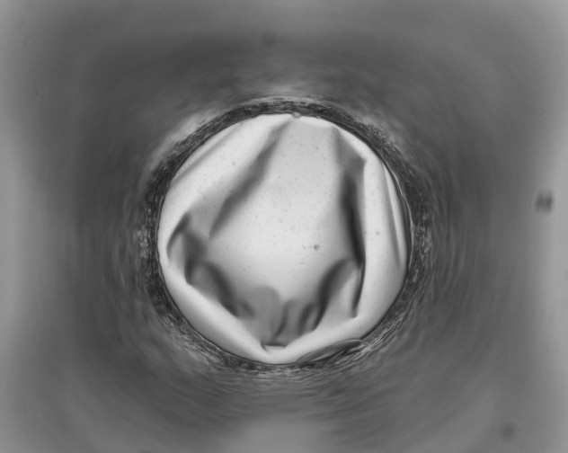 X0000097291159200803071726