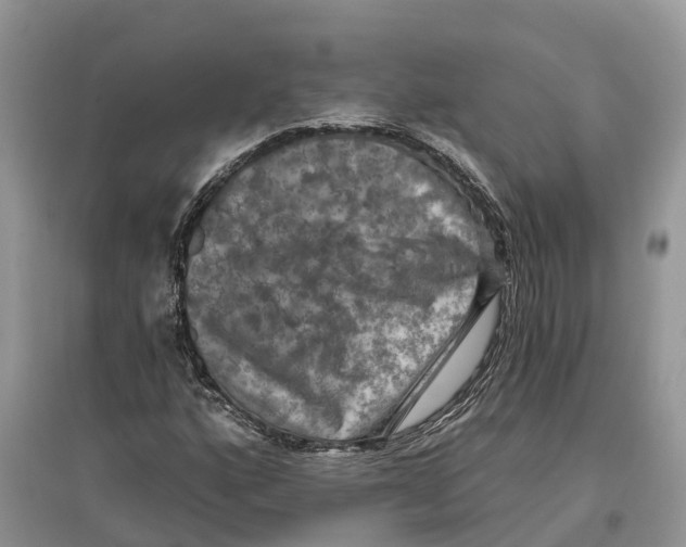 X0000097291160200803071726