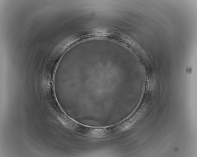 X0000097291161200803071726