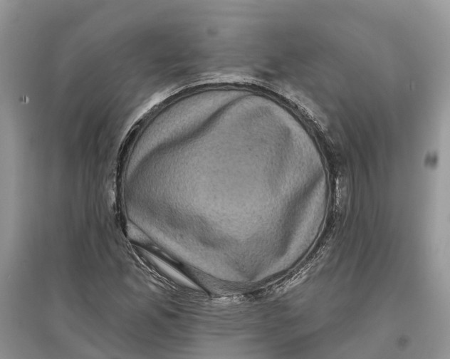 X0000097291165200803071726