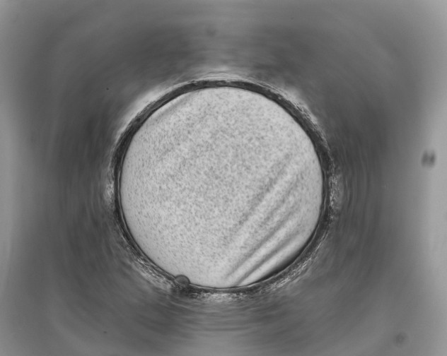 X0000097291167200803071726
