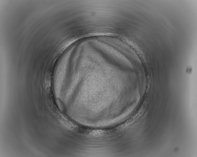 X0000097291169200803071726