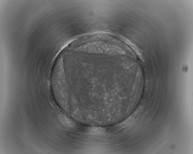 X0000097291170200803071726