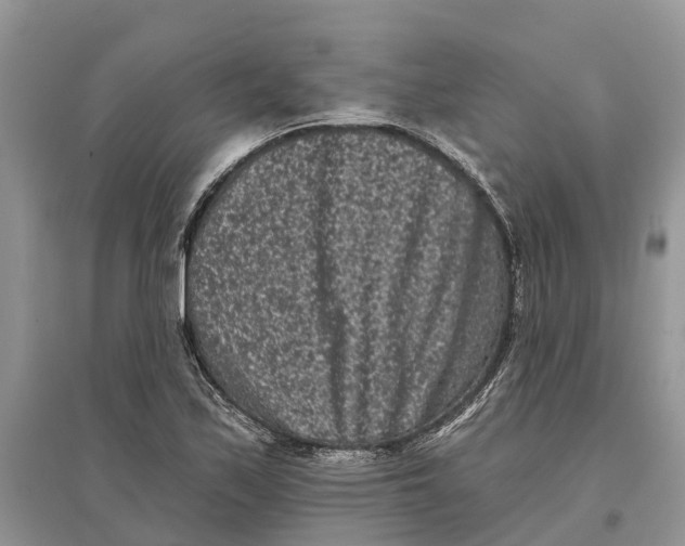 X0000097291171200803071726