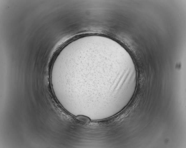 X0000097291172200803071726