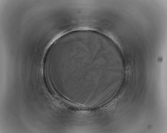 X0000097291173200803071726