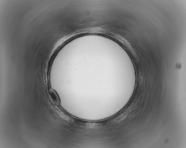 X0000097291176200803071726