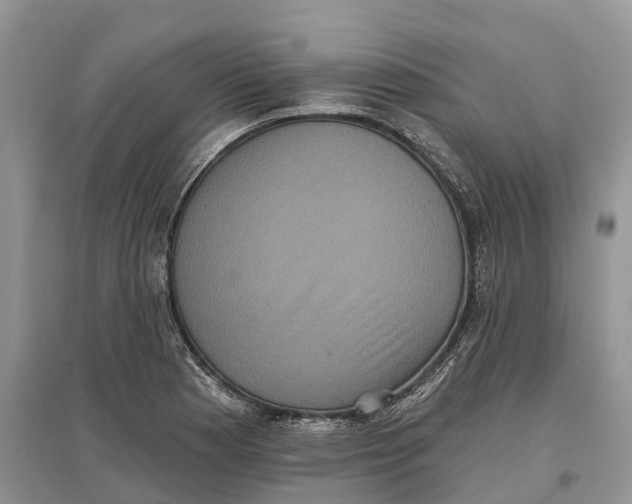 X0000097291177200803071726