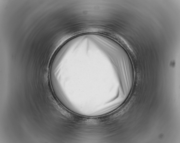 X0000097291178200803071726
