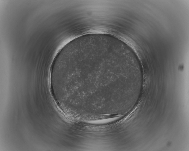 X0000097291179200803071725