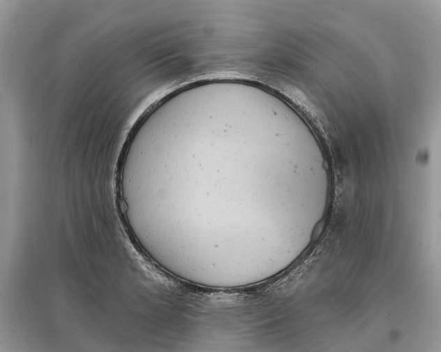 X0000097291181200803071725