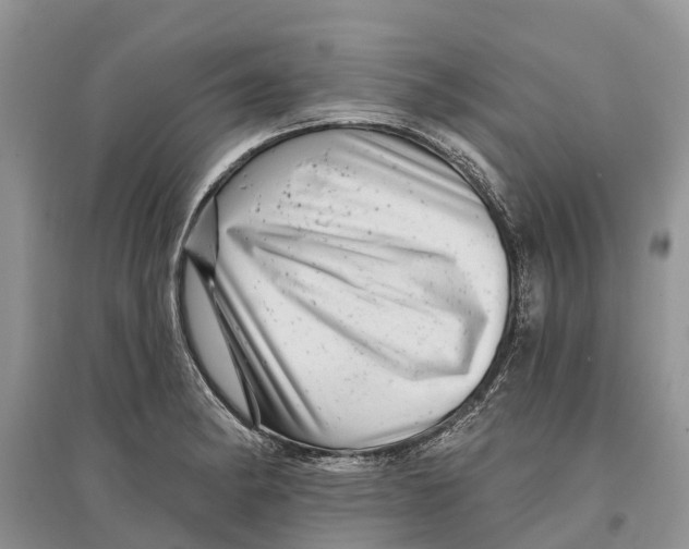 X0000097291182200803071725